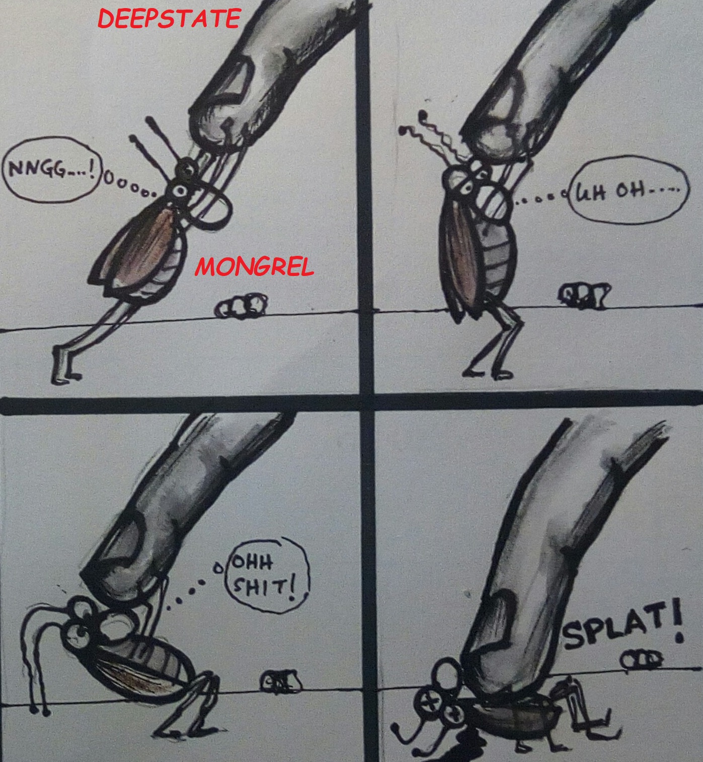 Black roach down.JPG