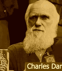 dc785edb94d5d3019b9e9a049220b722.gif