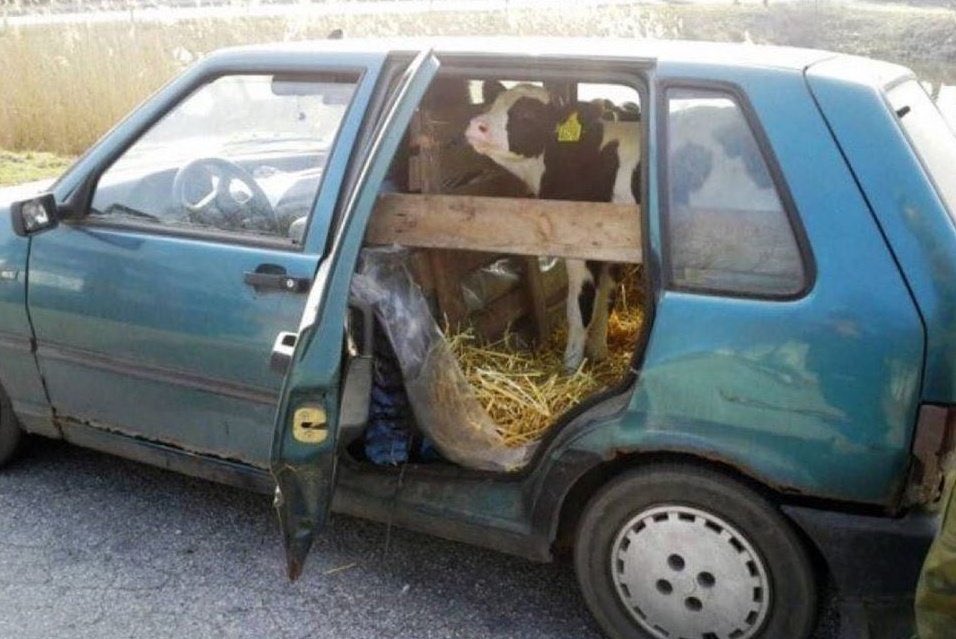 EadJyo7XYAAvktr.jpg