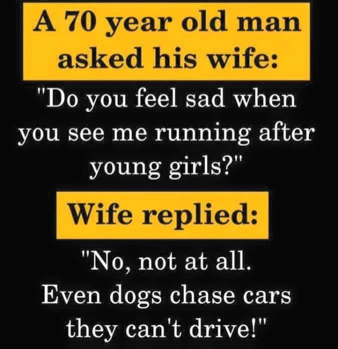 Even-dogs-chase-cars-they-cant-drive.jpg