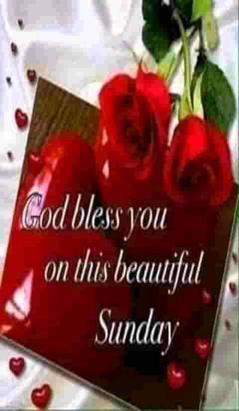 Facebook_creation_395935634.jpg