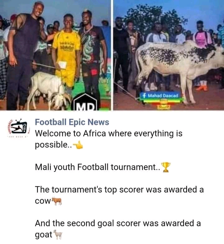 FB_IMG_16318802494314095.jpg