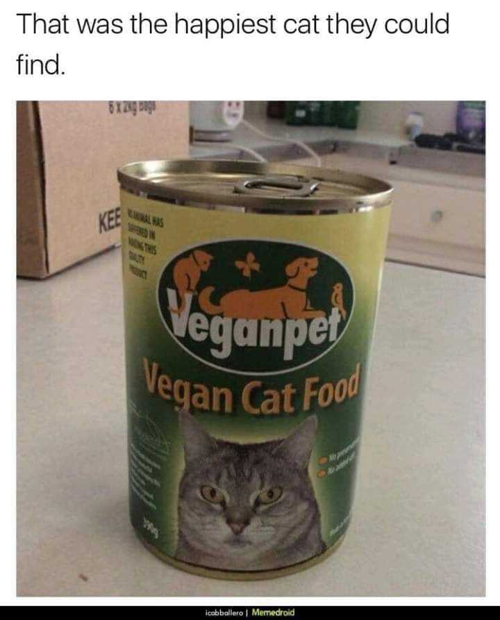 FB_IMG_1636356930825.jpg