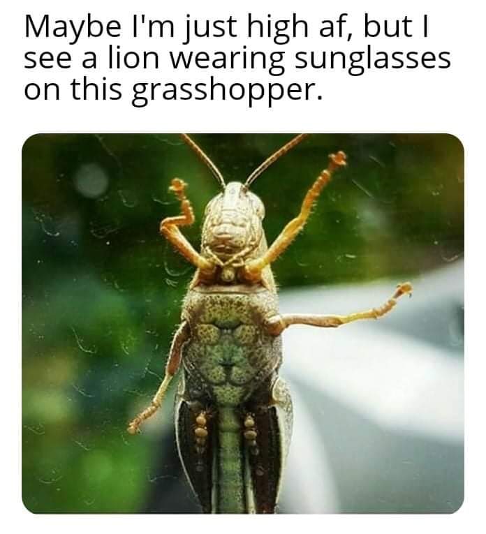FB_IMG_1638896509807.jpg