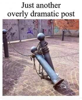 FB_IMG_1641200043896.jpg