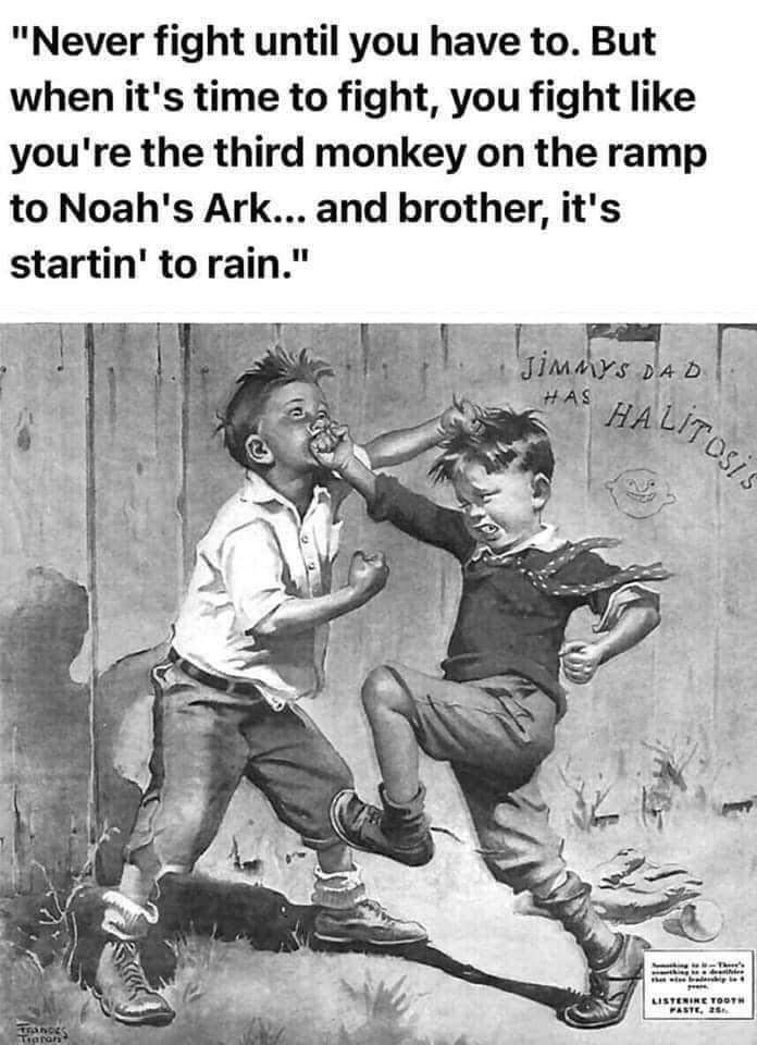 FB_IMG_1653292263213.jpg
