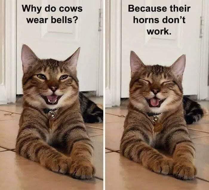 FB_IMG_1662029990405.jpg