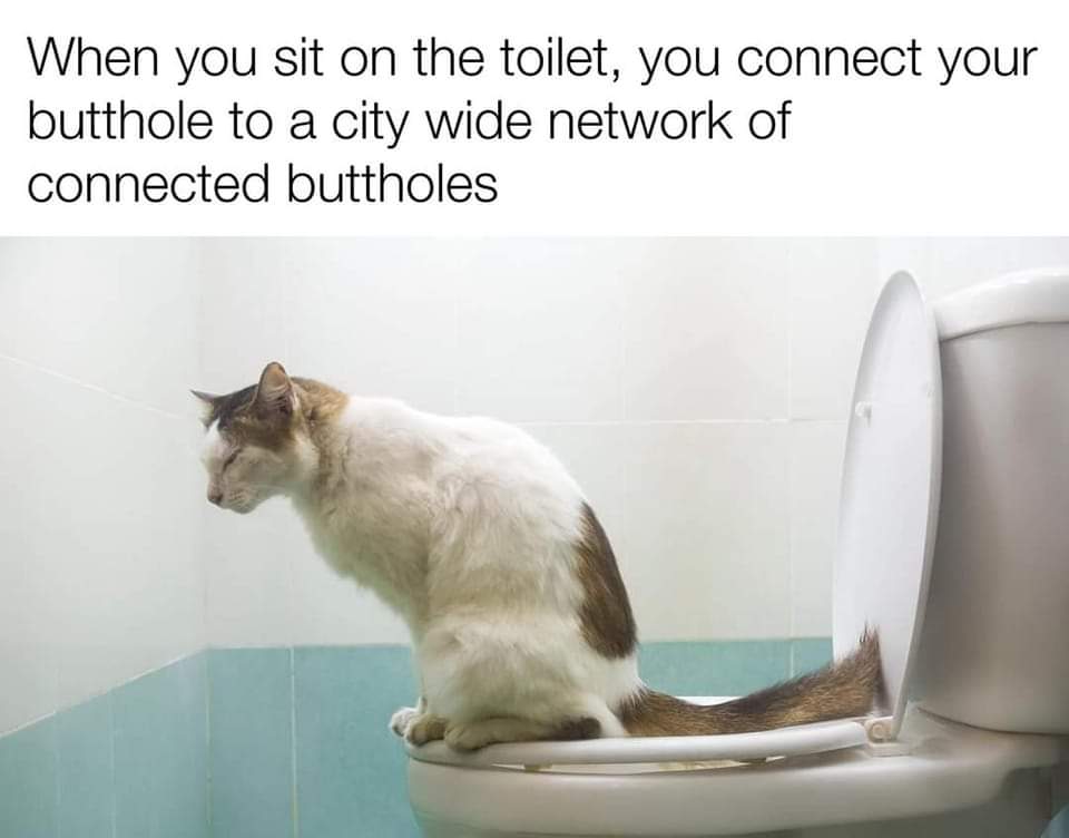 FB_IMG_1678067572300.jpg
