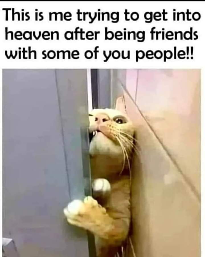 FB_IMG_1698840058668.jpg