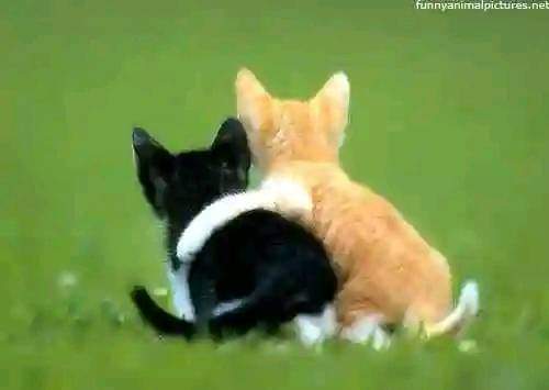 FB_IMG_1704470916125.jpg