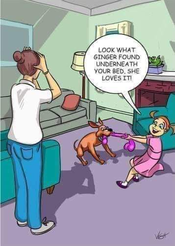 FB_IMG_1706203836504.jpg