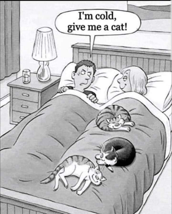 FB_IMG_1706277815213.jpg