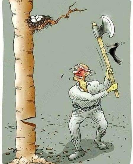 FB_IMG_1708408921769.jpg