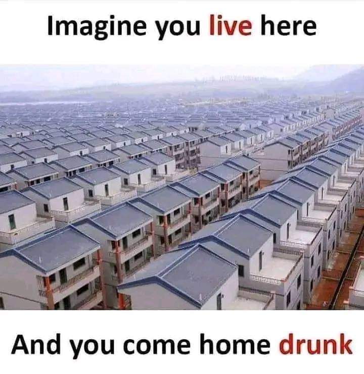 FB_IMG_1717849322787.jpg