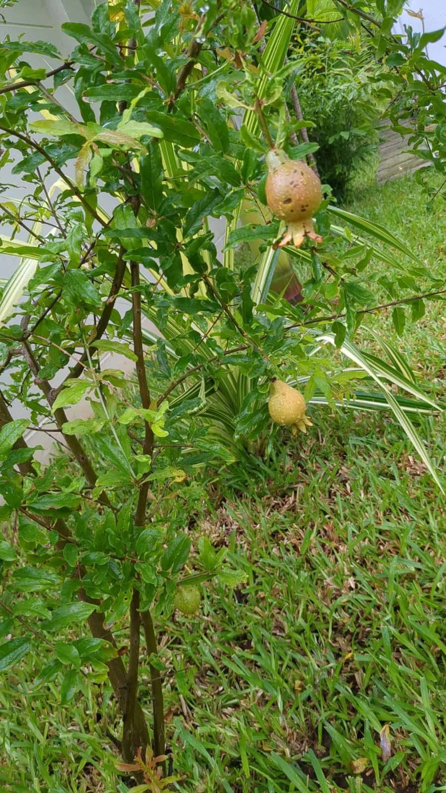 IMG-20250421-WA0018.webp