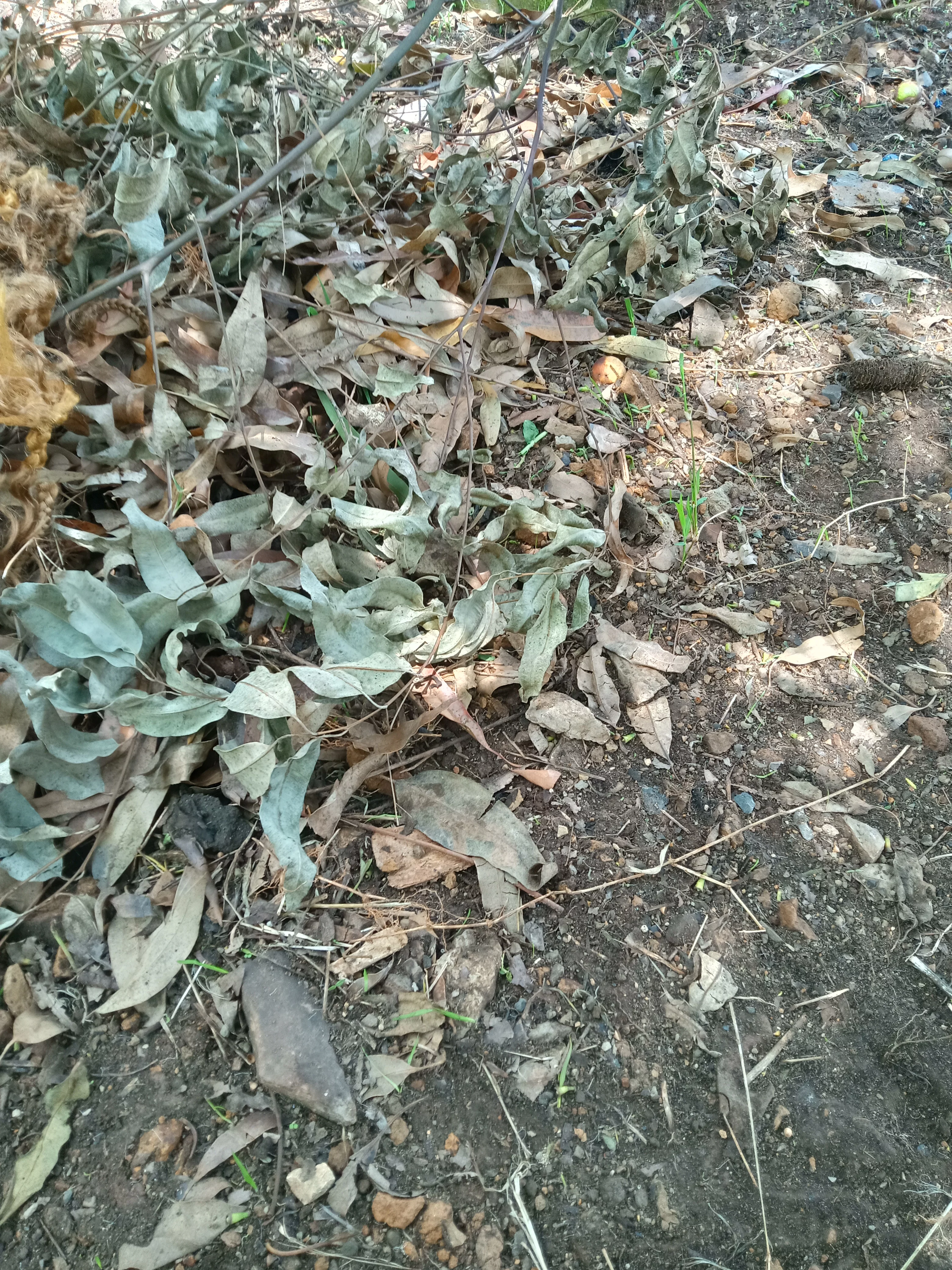 IMG20200116113559.jpg