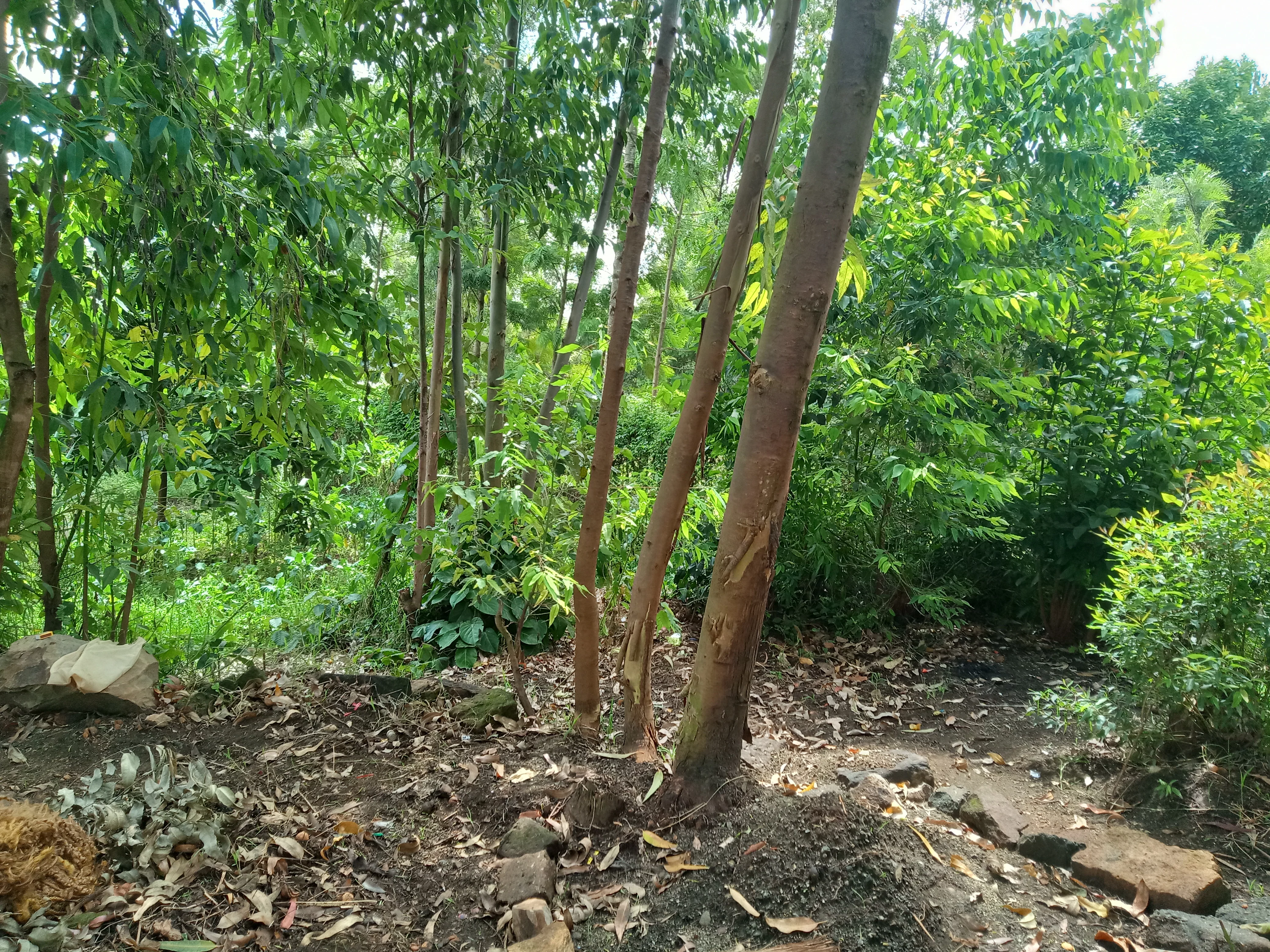 IMG20200116113650.jpg