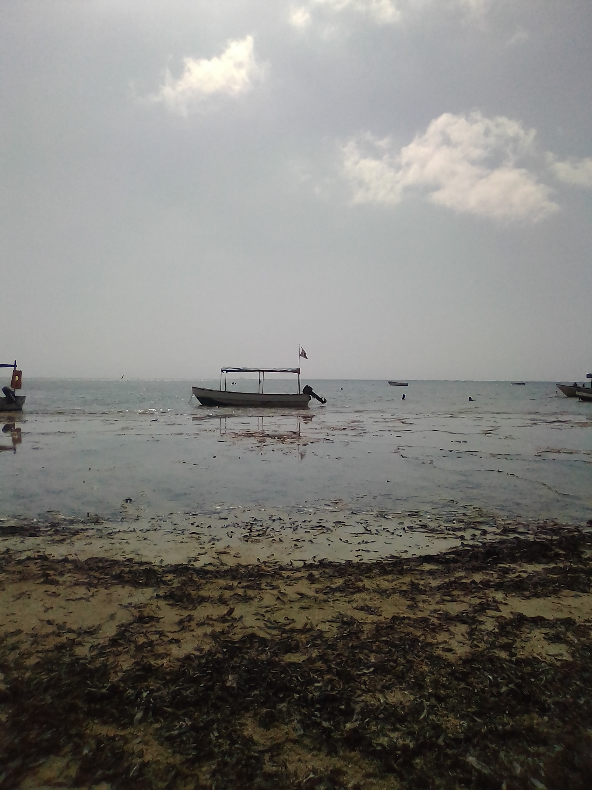 IMG_20210207_094109.jpg
