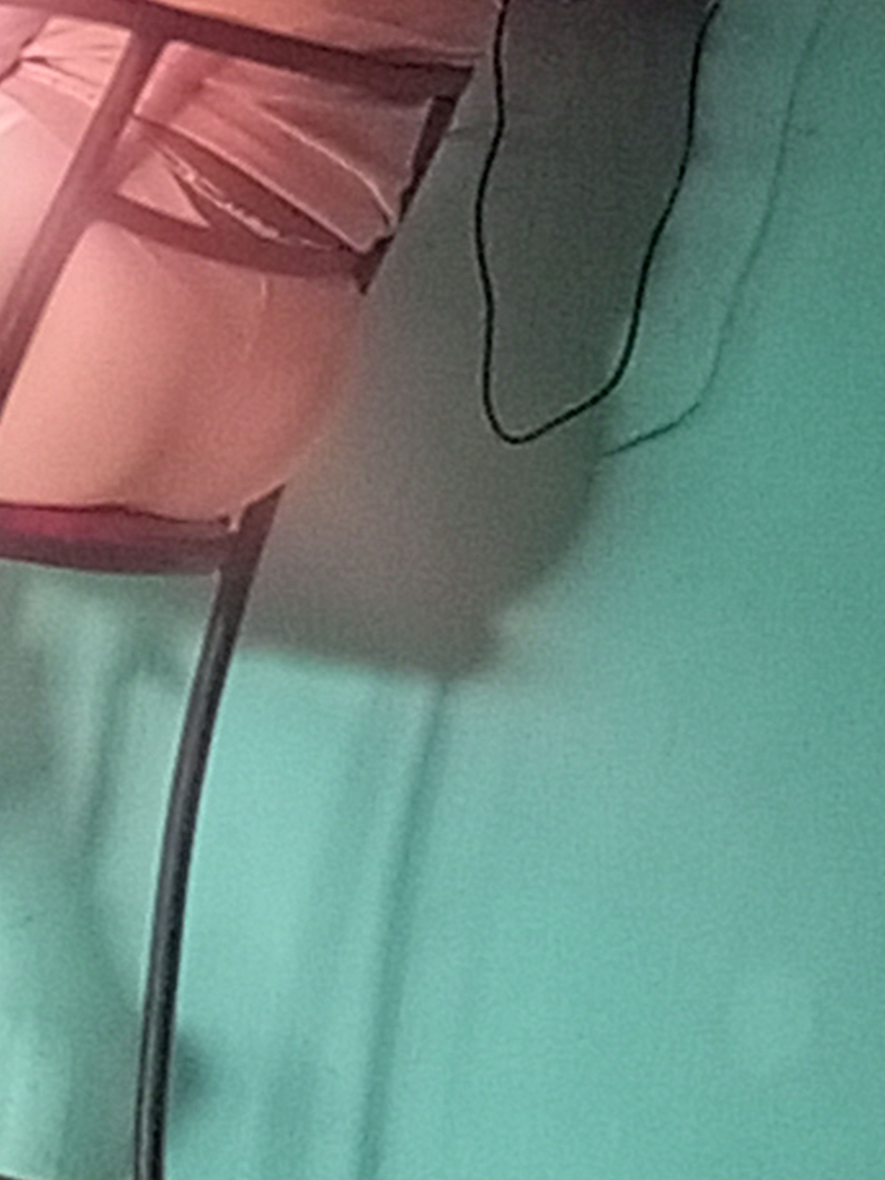 IMG_20220128_172839_272.jpg