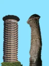 KICC vs Donkey Penis.webp