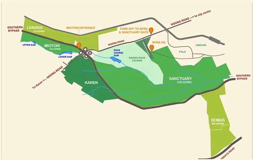 Ngong Forest.webp