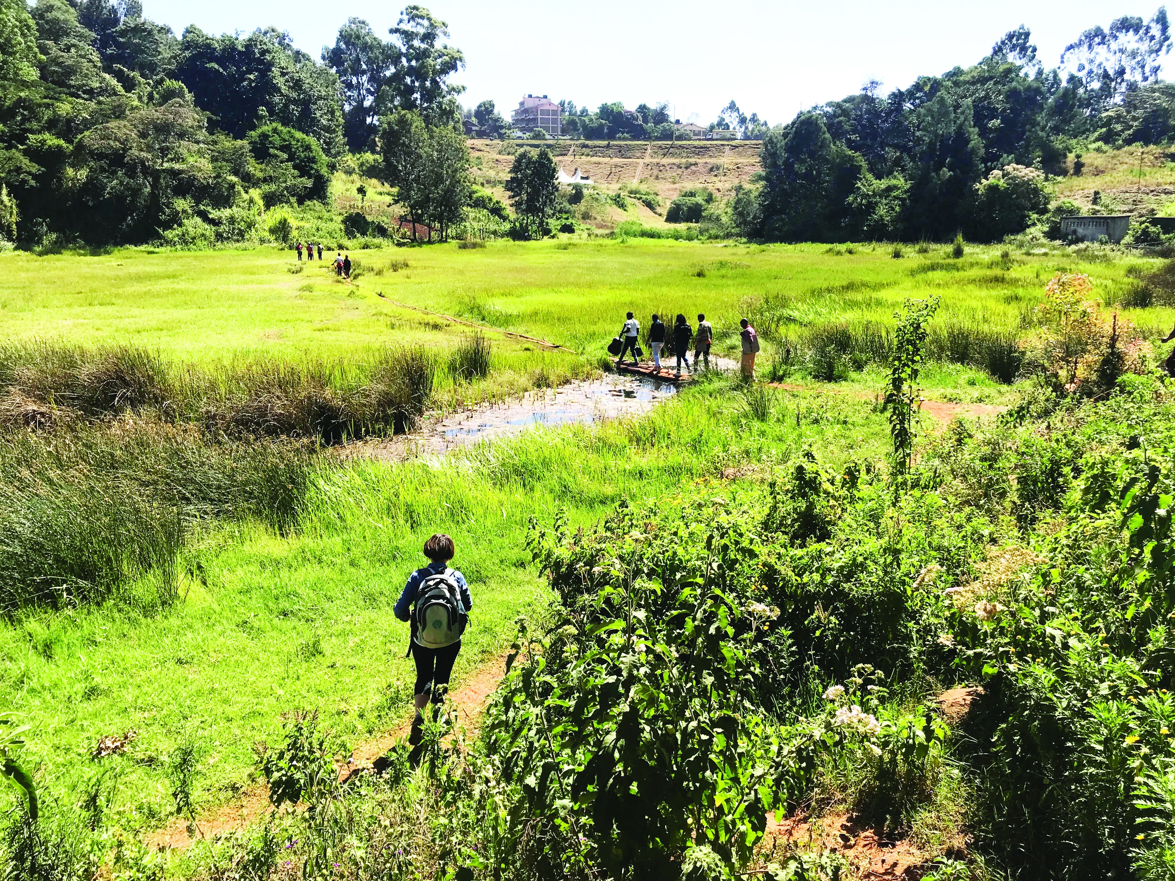 Ondiri-Swamp4.jpg