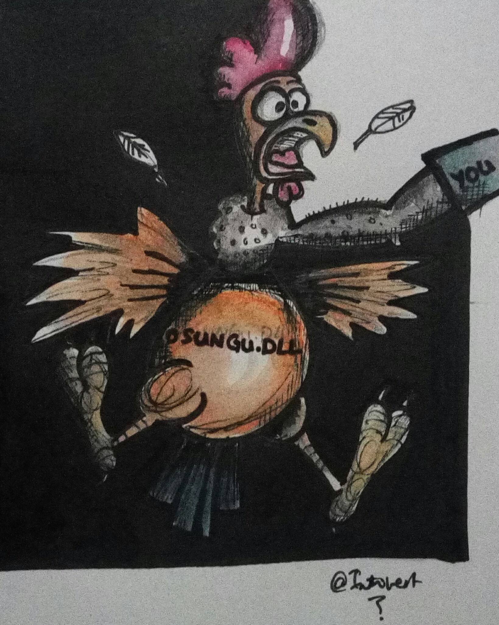 Osungu.dll kuku.JPG