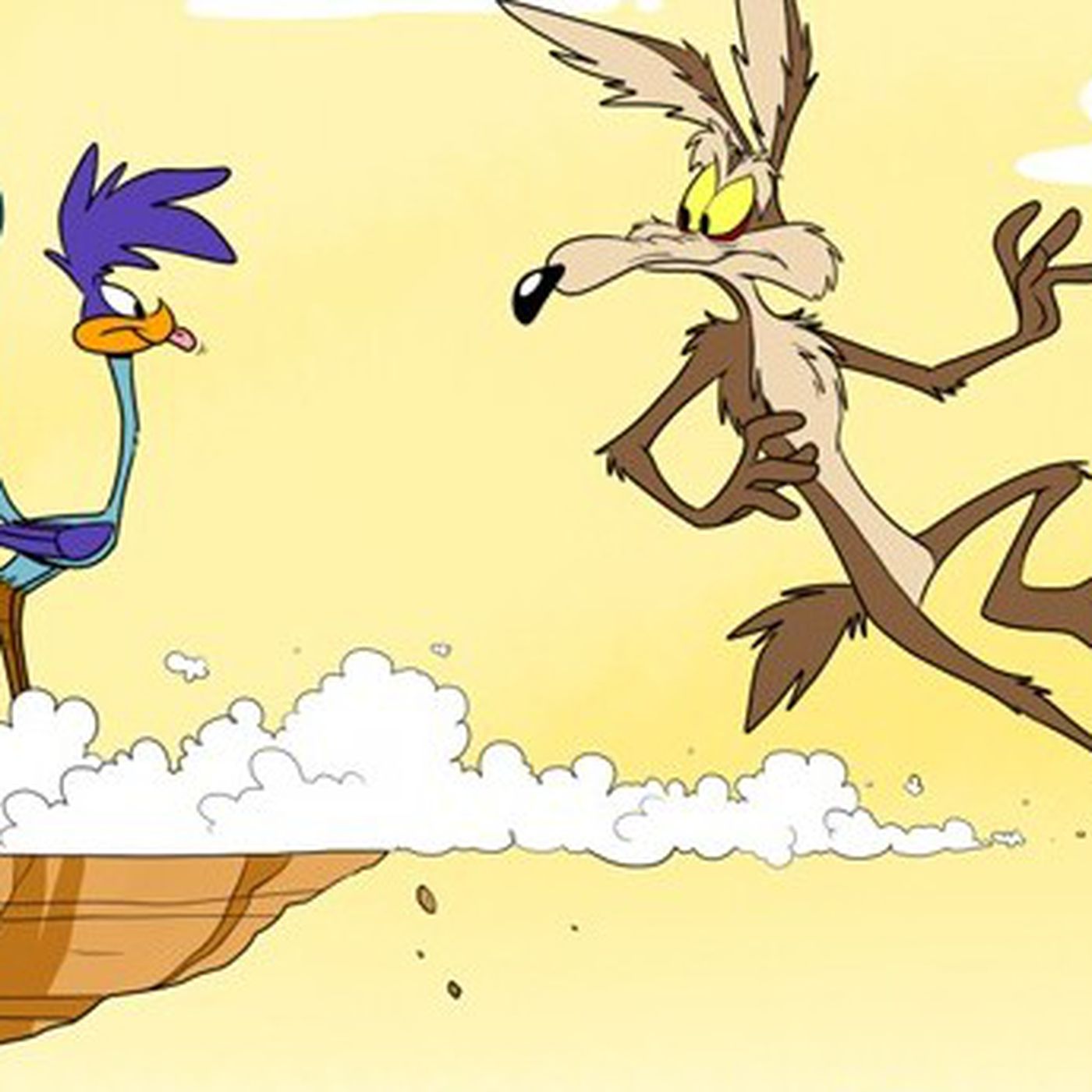 road runner.jpg
