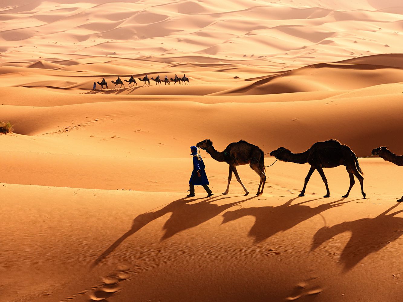 SaharaDesert-58c1a5603df78c353c3d525d.jpg