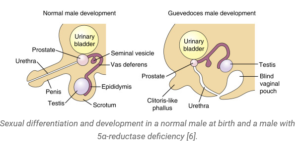 screenshot-wimpoleclinic.com-2023.08.23-09_17_49.png