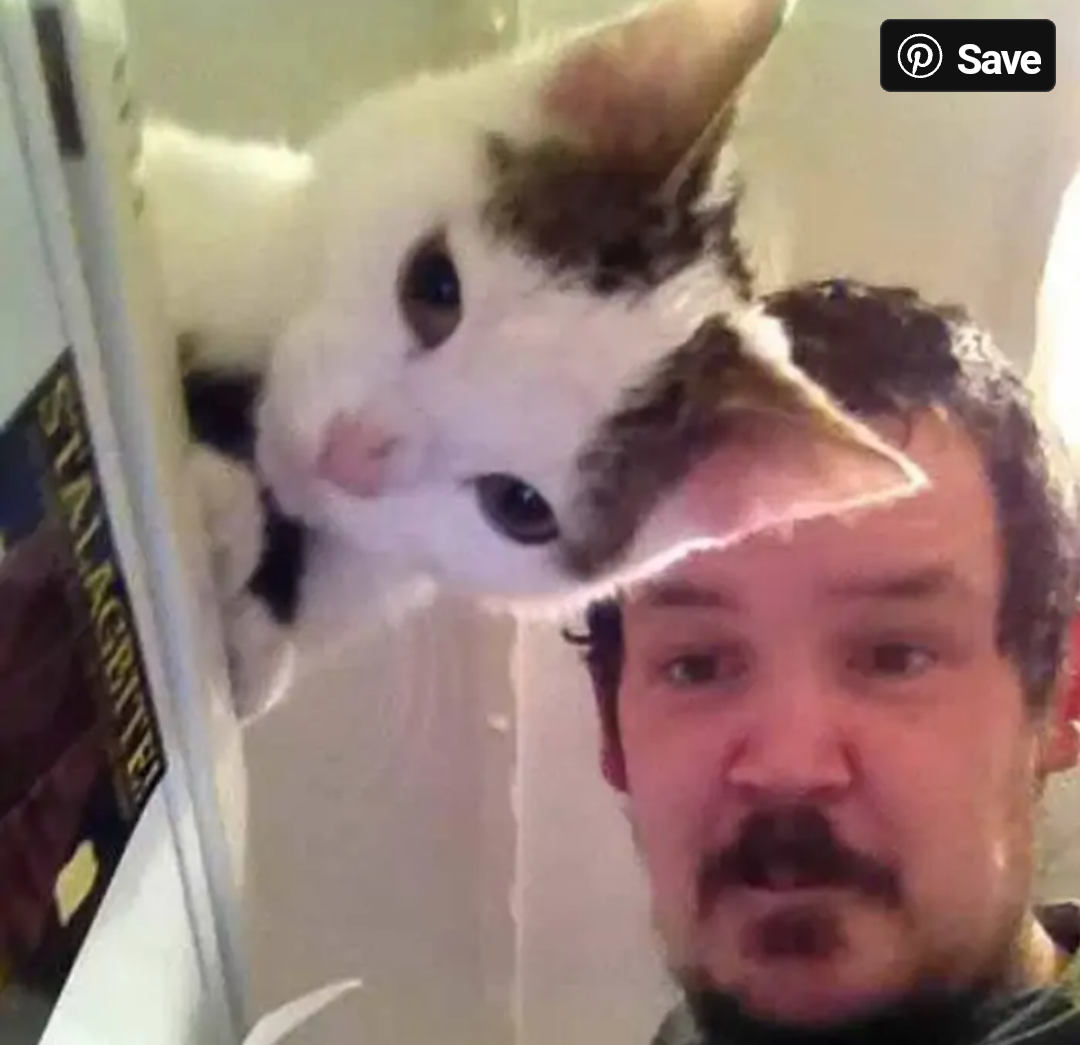 Screenshot_20201004-165256~2.png