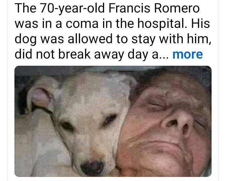 Screenshot_20240615_210726_Facebook.jpg