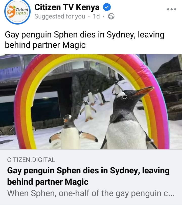 Screenshot_20240825-122102.jpg