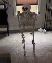 skull-issues.gif