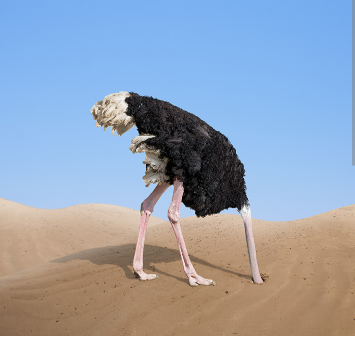 snapshot_www.google.com_1667989507131.png