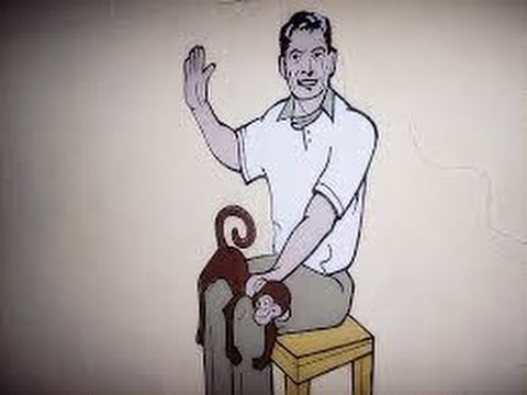 Spank the monkey.jpg