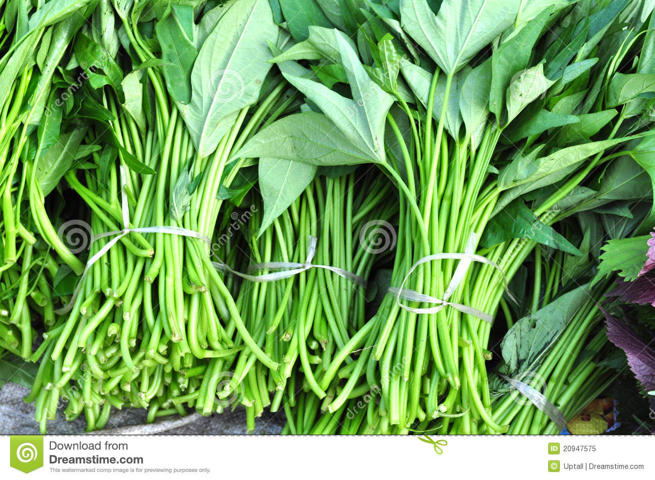 sweet-potato-leaves-20947575.jpg