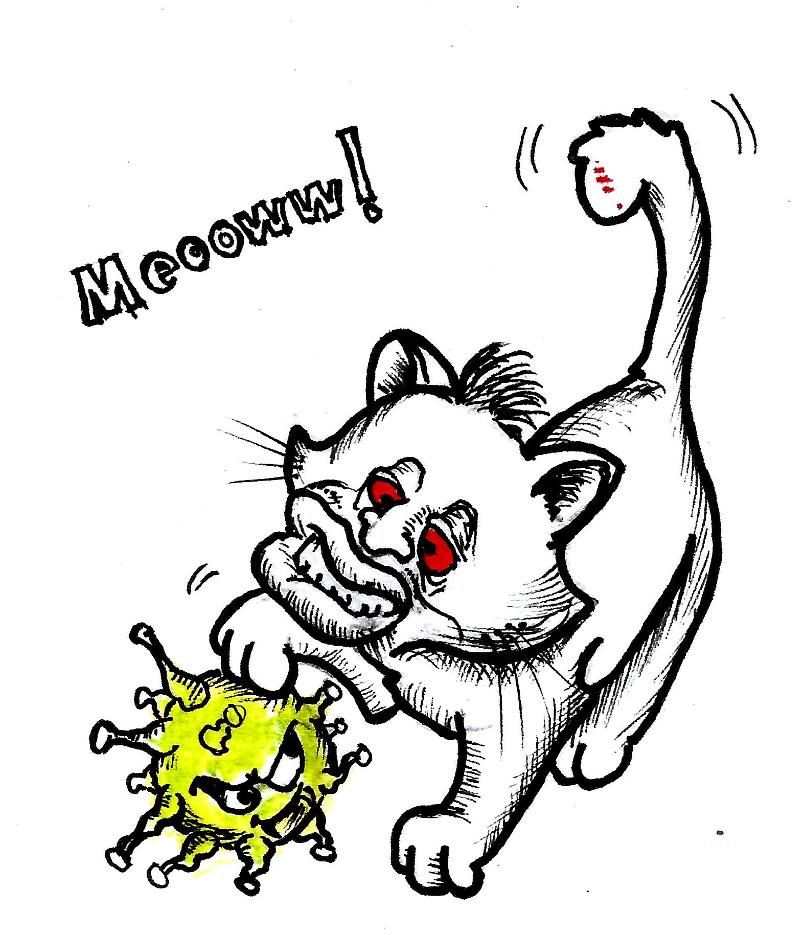 The Covid Kitty0003 - Copy.jpg