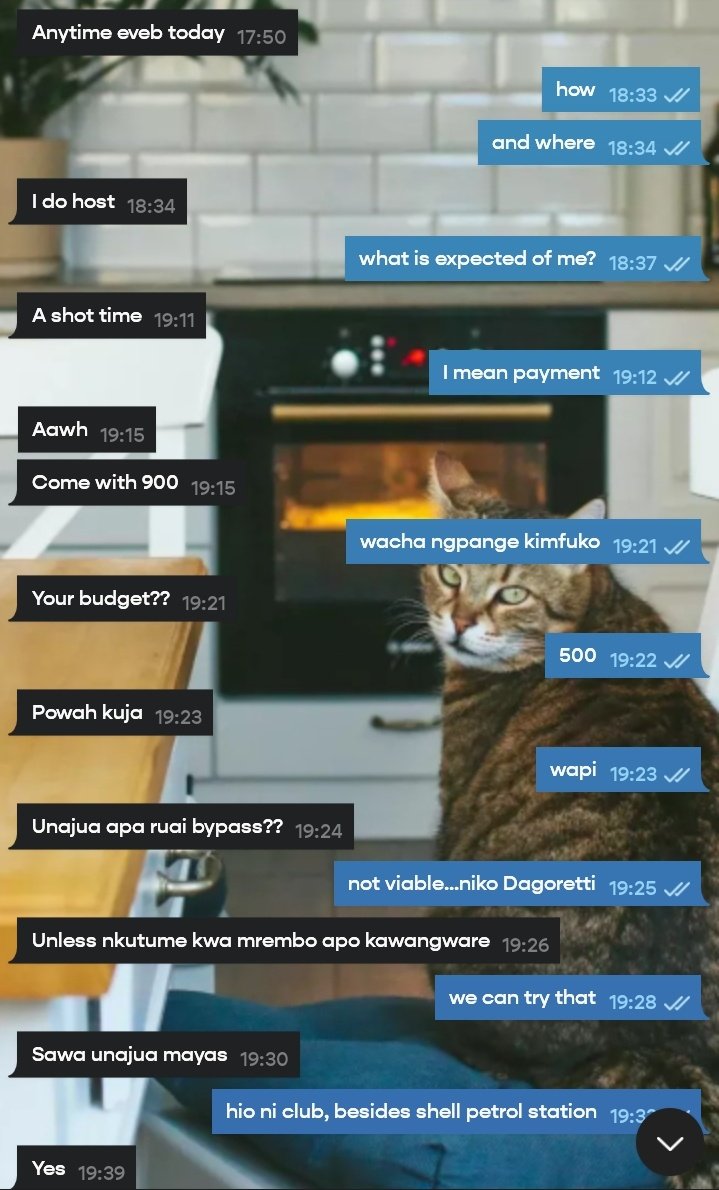 tinder 3.jpg