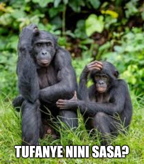tufanyenini.jpg
