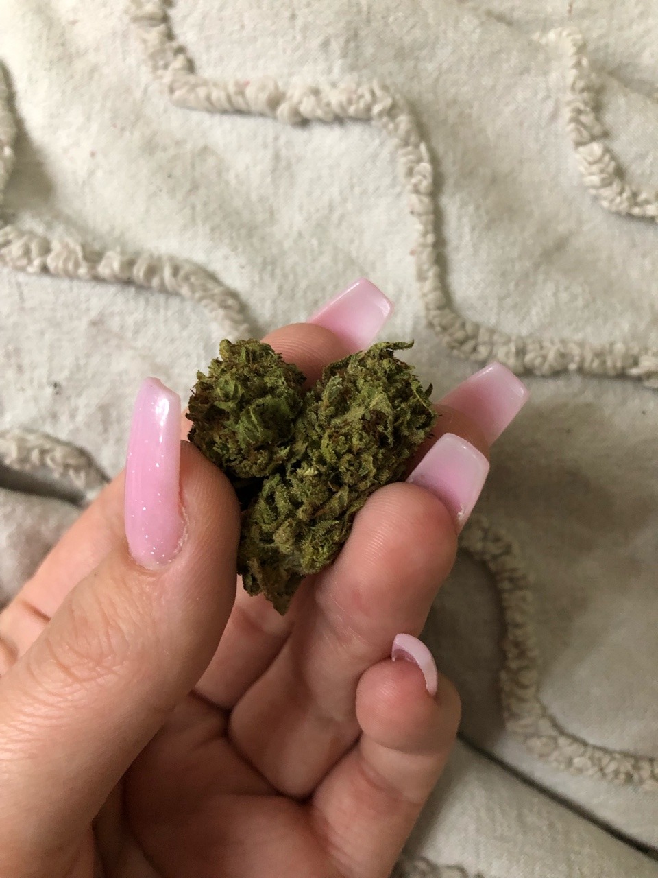 tumblr_a7e9da85cb0a800ee0cf8e237e43e64e_5a22eef9_1280.jpg