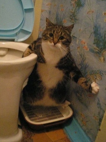 What!!!.jpg