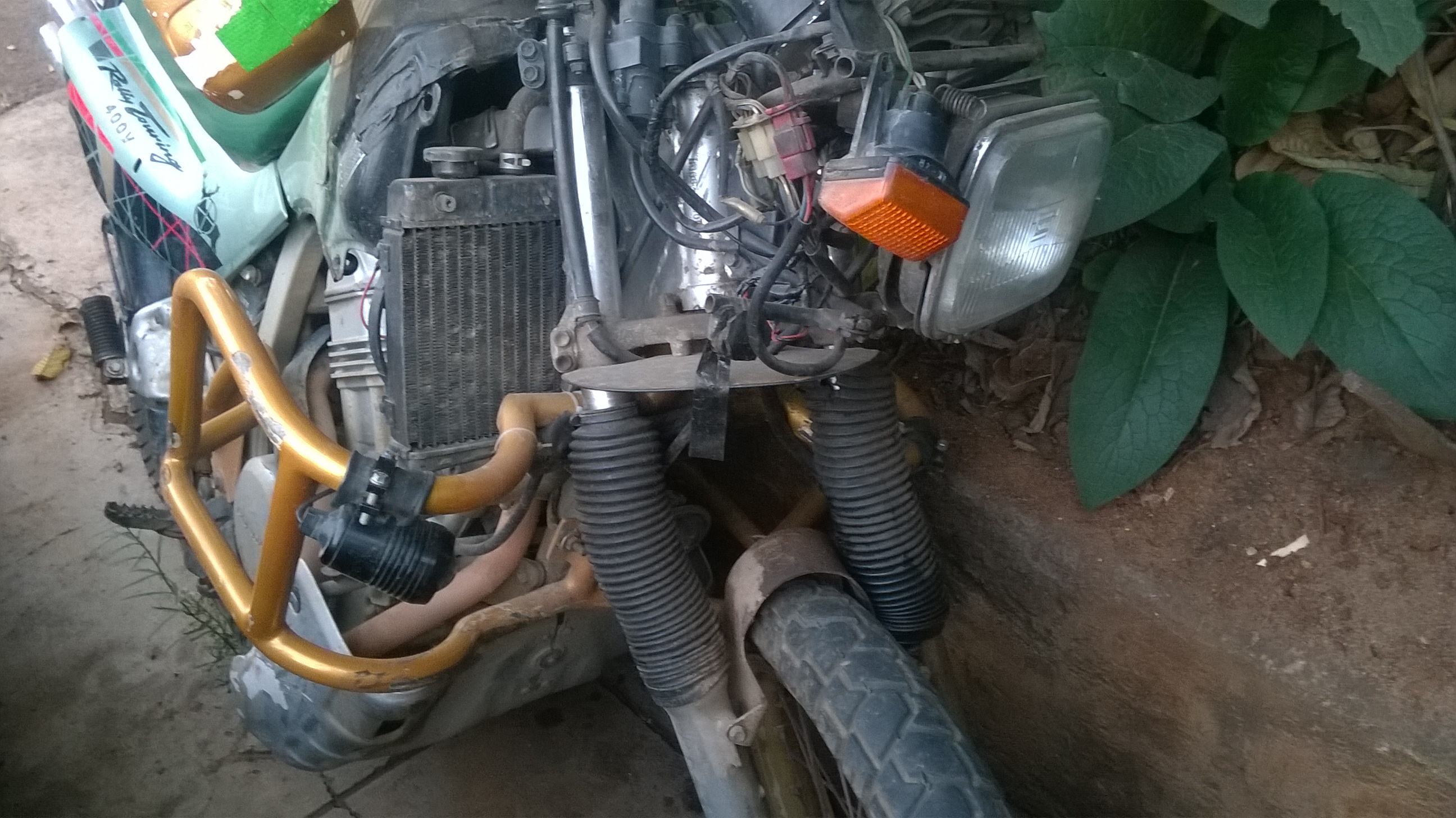 WP_20150802_004.jpg