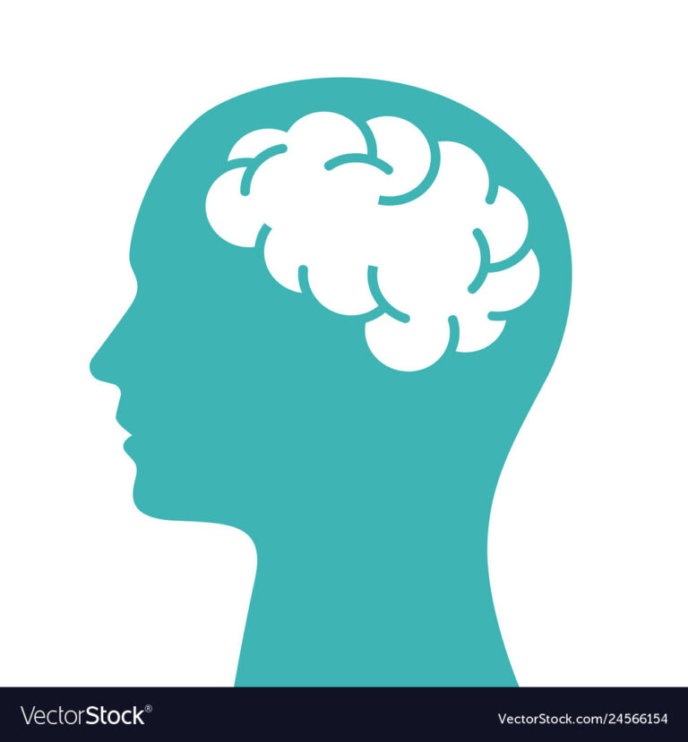 human-head-with-brain-vector-24566154-768x829.jpg