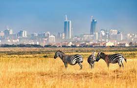 Nairobi-National-Park-700x450.jpg