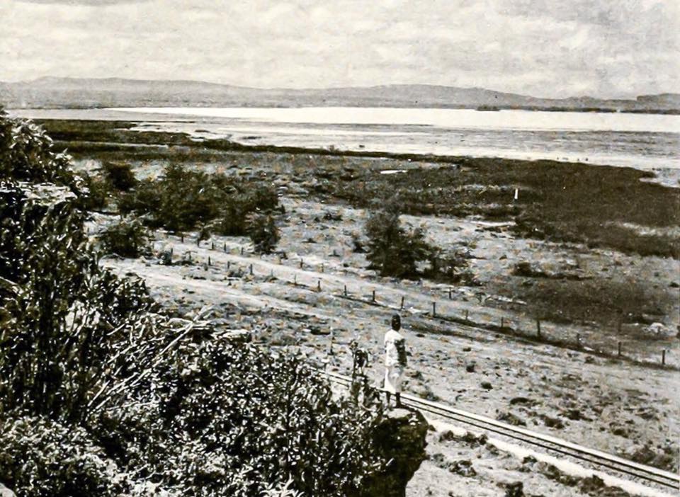 The Uganda Railway passing near Lake Victoria