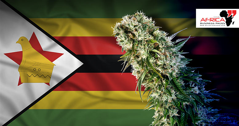 news.africa-business.com