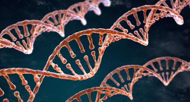 Electrochemical CRISPR Can Be Used for Extremely Quick Blood Test