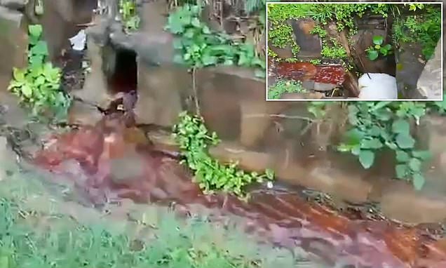 www-dailymail-co-uk.cdn.ampproject.org