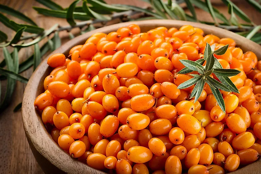 shutterstock-435933808.jpg